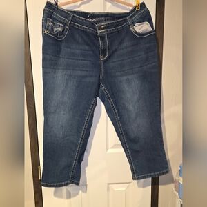 Lane Bryant Dark Blue Ankle Jeans